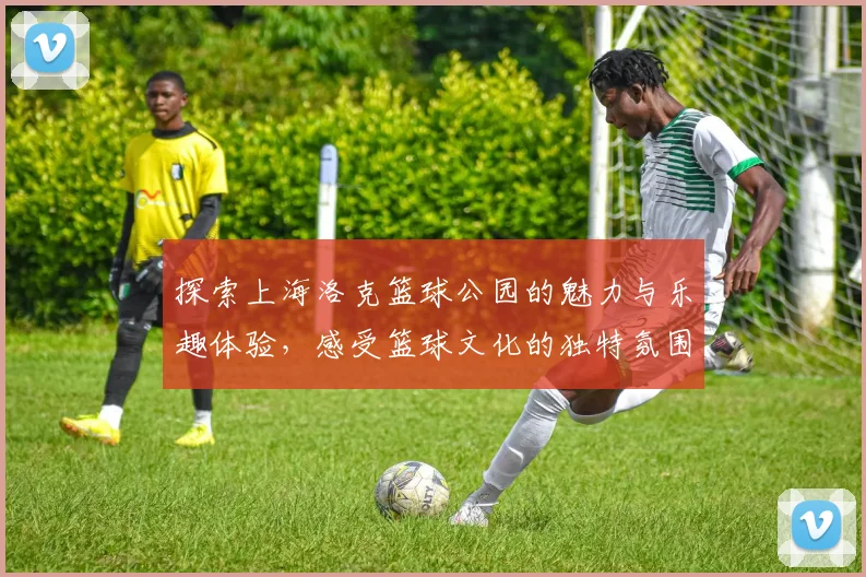 探索上海洛克篮球公园的魅力与乐趣体验，感受篮球文化的独特氛围