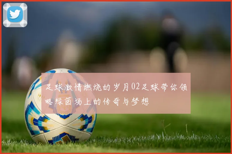 足球激情燃烧的岁月02足球带你领略绿茵场上的传奇与梦想