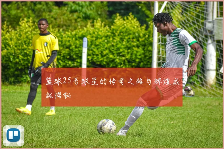 篮球25号球星的传奇之路与辉煌成就揭秘