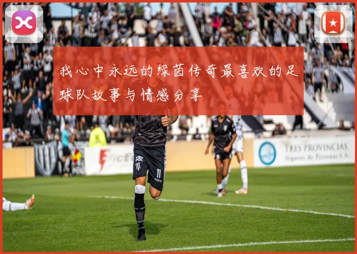 我心中永远的绿茵传奇最喜欢的足球队故事与情感分享