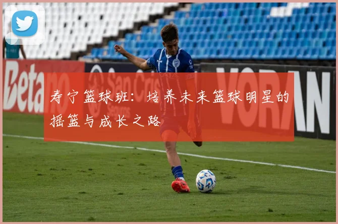 寿宁篮球班：培养未来篮球明星的摇篮与成长之路